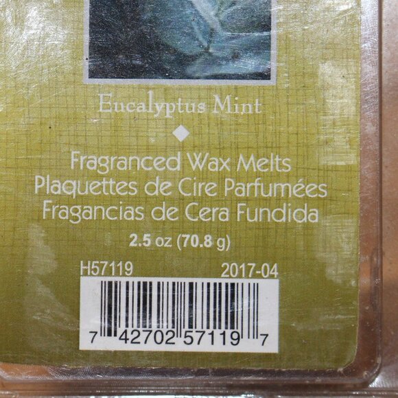 HG Global Eucalyptus Mint Fragranced Wax Melts 4 - 2.5 Oz Cubes - Picture 2 of 4